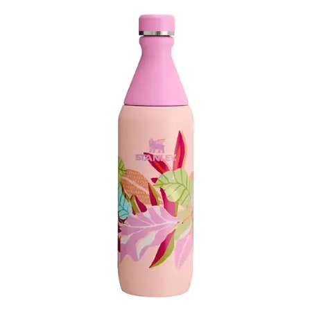 Botella Termica Stanley All Day Slim 591ml Ed Special Acero Color Sorbet Tropic